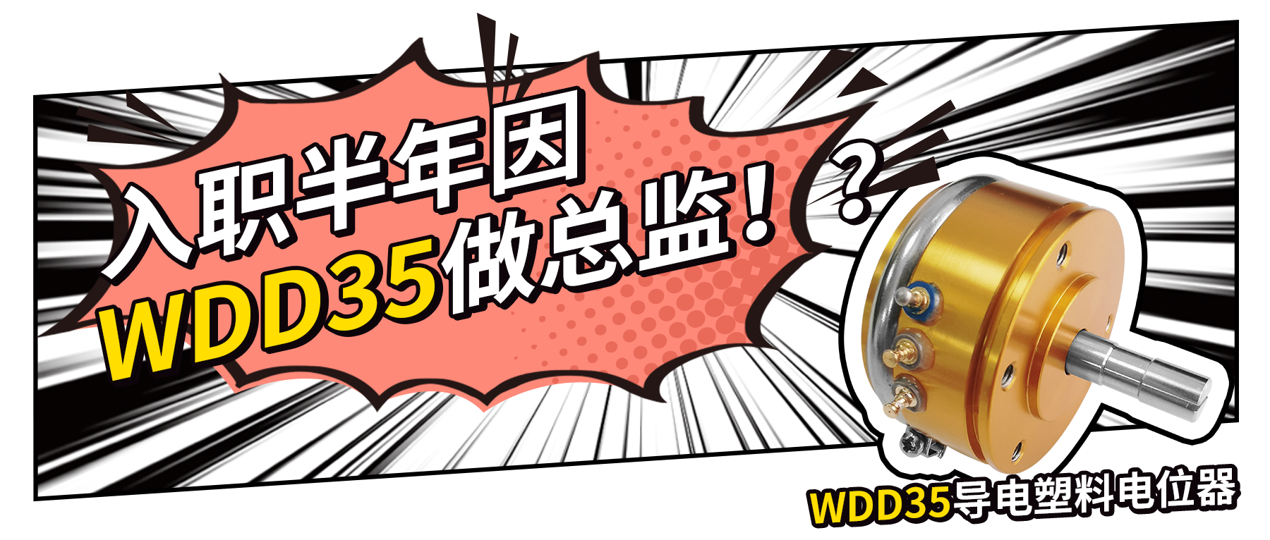 入職半年因WDD35做總監(jiān)？！